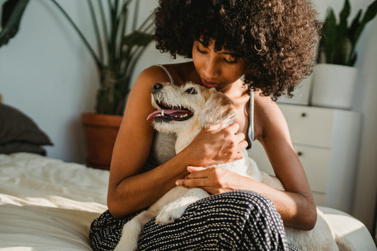 How Light Therapy Can Help Pets Feel Their Best
